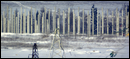 27.01.2013 Столбы на свалке