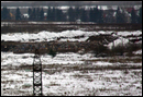Свалка 06.12.13 утро