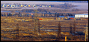Свалка 29.03.2014 раннее утро