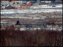 22.03.12 утро