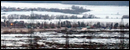 03.04.2012 свалка вечер